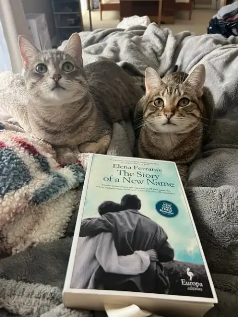 Nismo & Chai