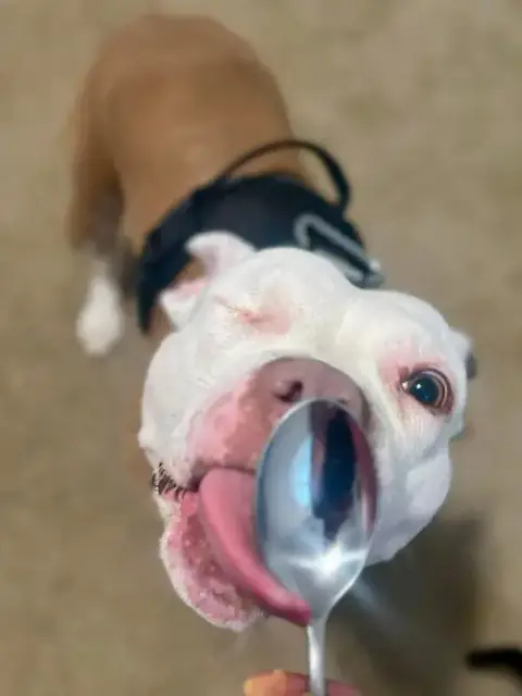 Wiggles photo 3