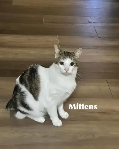 Mittens photo 3