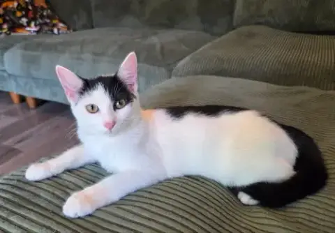 Missy photo 2