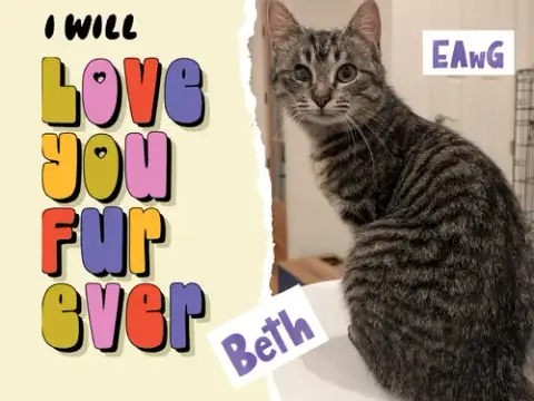 Beth