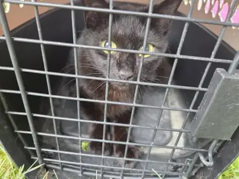 Sabrina