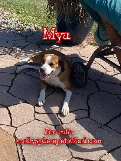 Mya photo 4