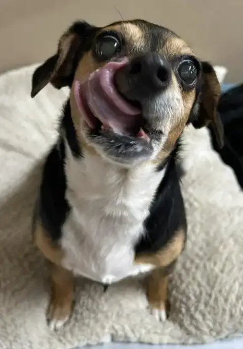 Lily