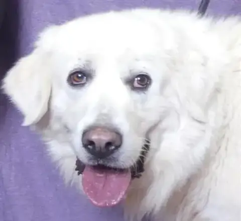 Bonnie