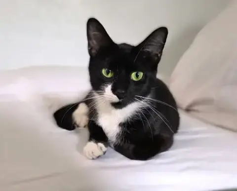 Mama