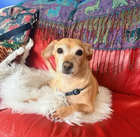 Milo