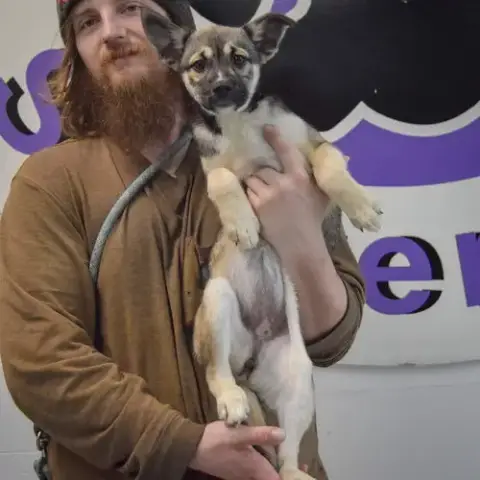 Willow photo 2