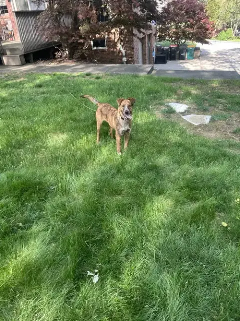 Frankie photo 3
