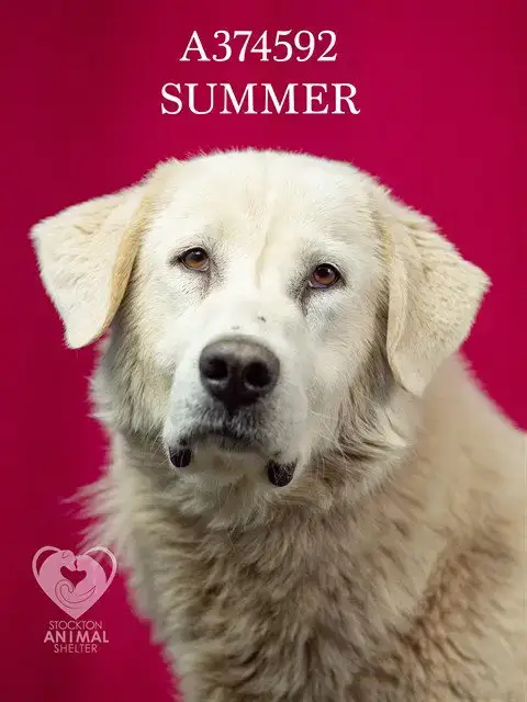 Summer