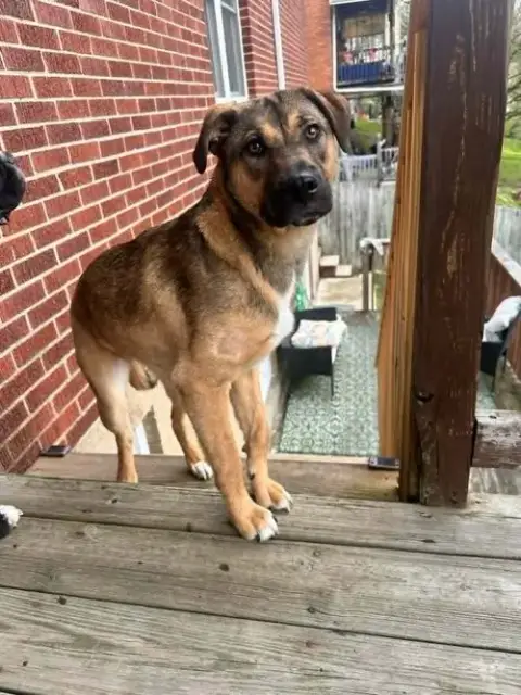 Annie