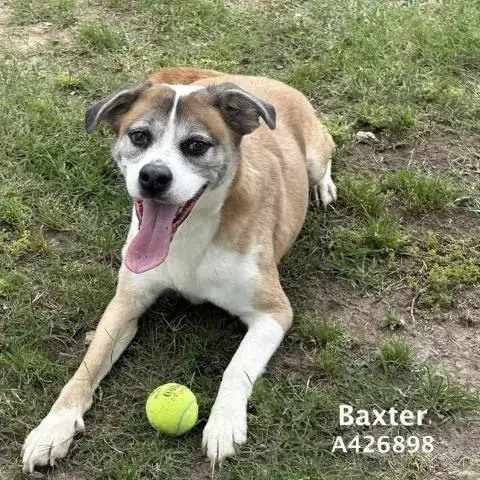 Frisbee