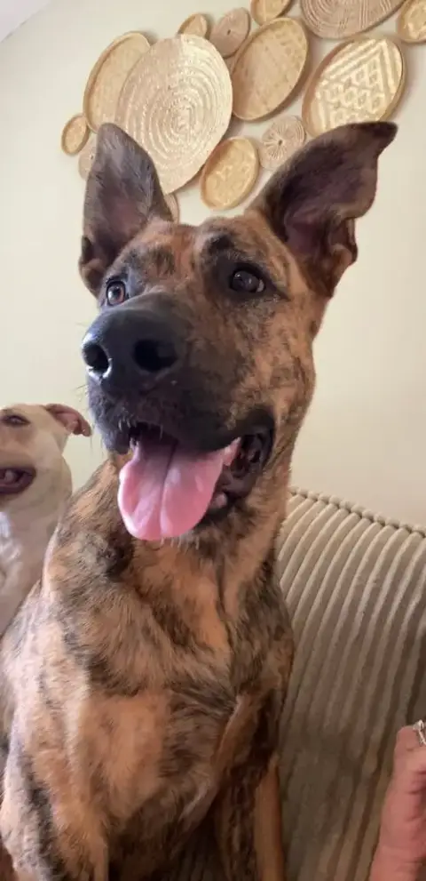 Denali