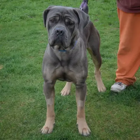 Otis photo 3