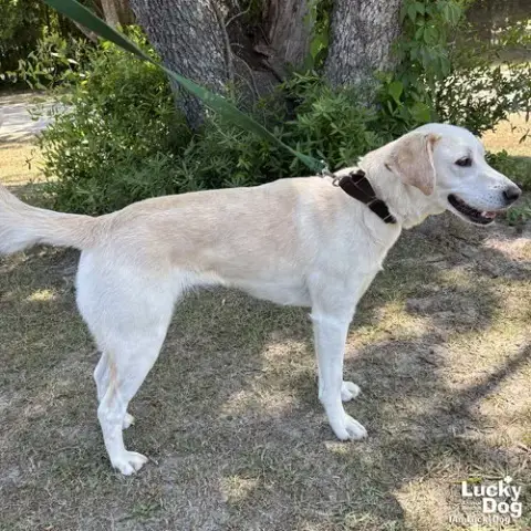 Bella photo 3