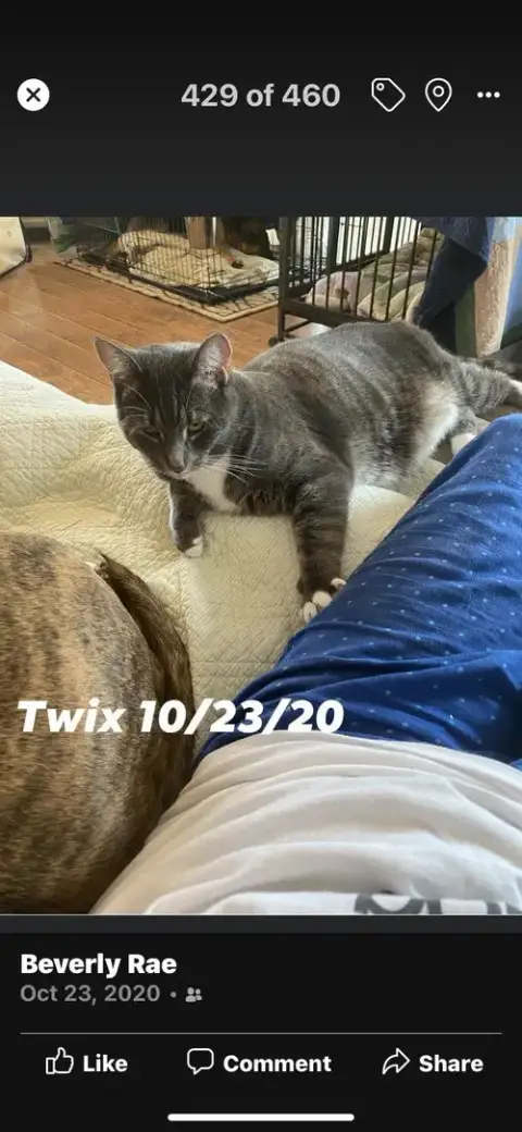 Twix photo 2