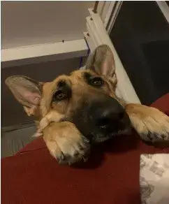 Jack