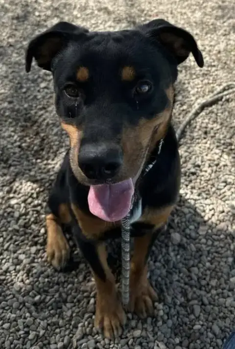 Obi photo 2