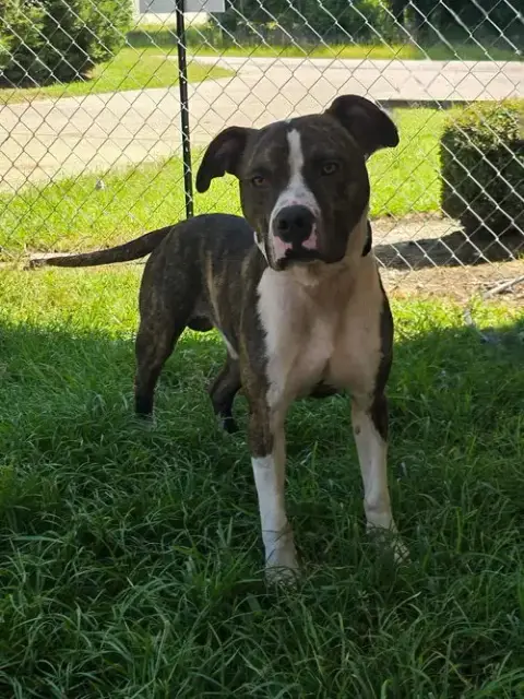 Riley photo 2