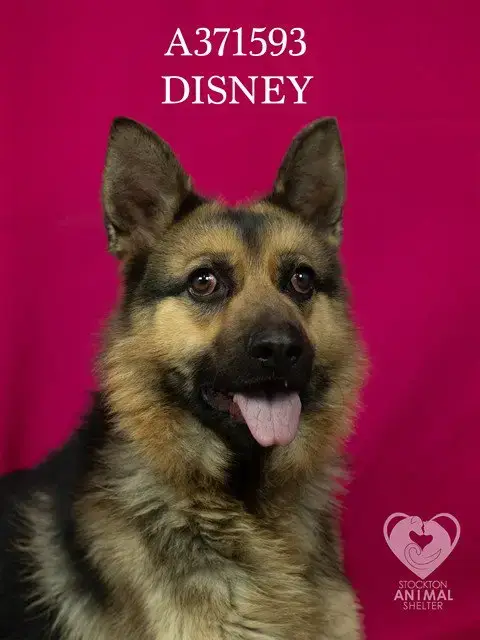 Disney