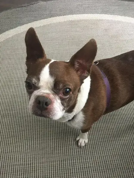 Miss Bella photo 2