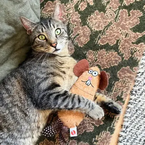Clyde photo 4