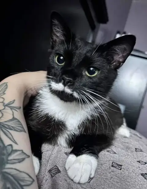 Poe photo 2