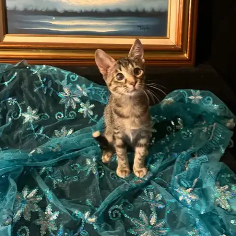 Lucky