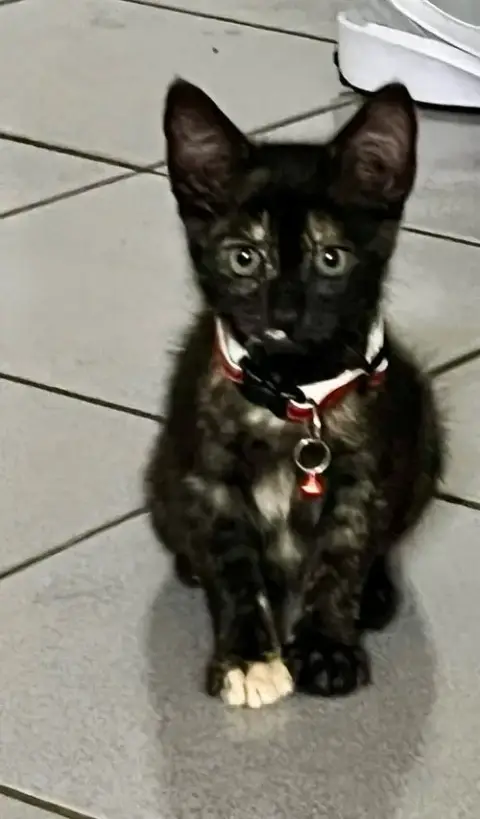 Lilly Baby photo 3
