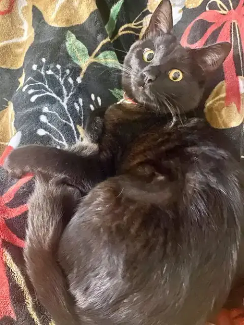 Sally photo 4