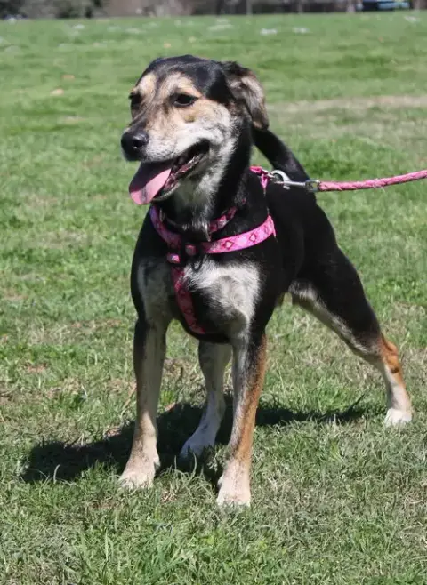 Berta photo 5