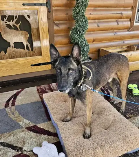 Ramsey- Located In Nm