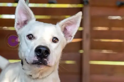 Oakley photo 2