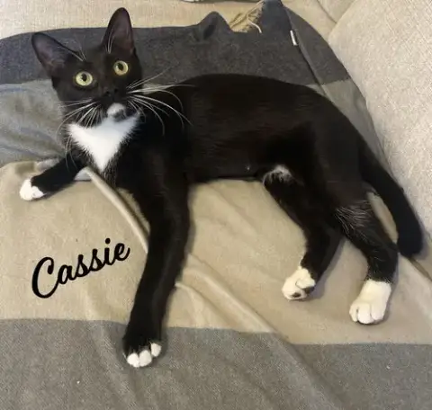 Cassie #It-Takes-A-Village-Momma