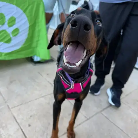 Xena