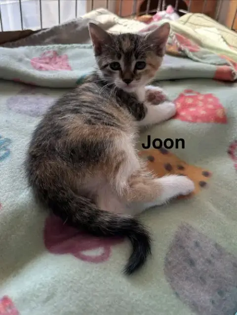 Joon & photo 3