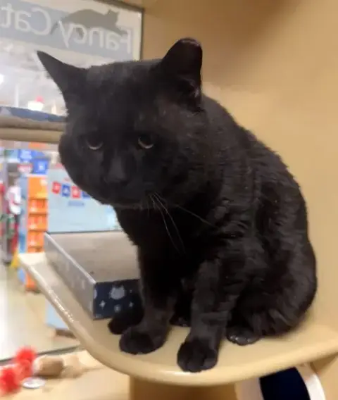 Thomas