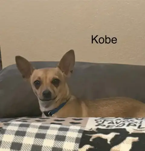 Kobe