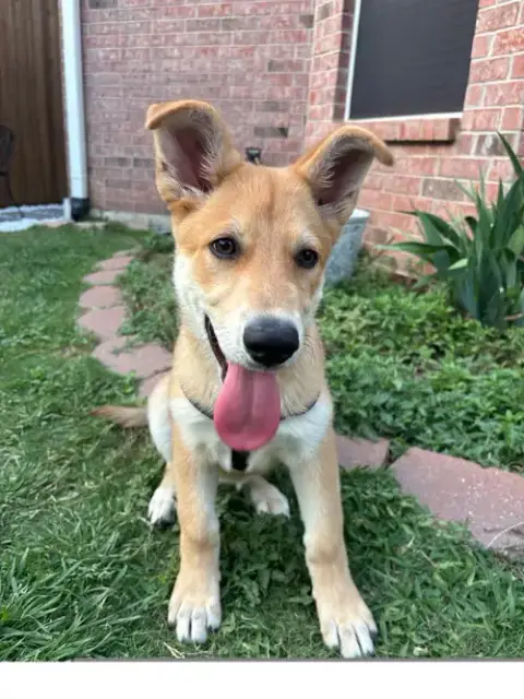 Winnie
