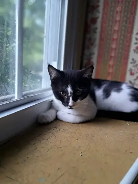 Duncan photo 3