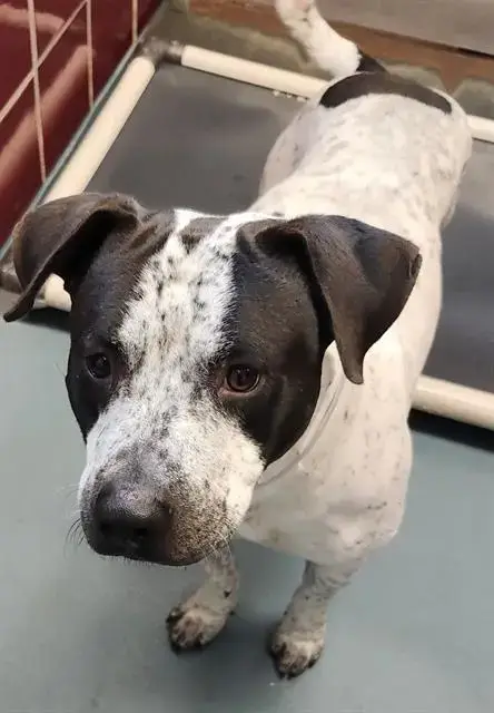 Murphy