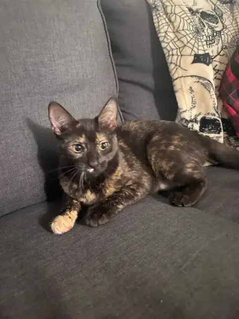 Lilly Baby photo 2
