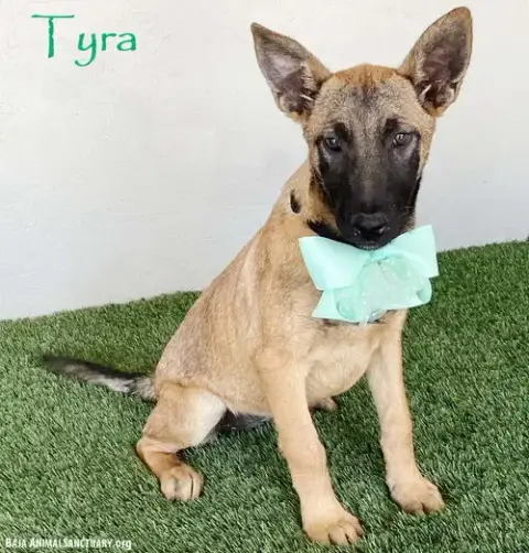 Tyra
