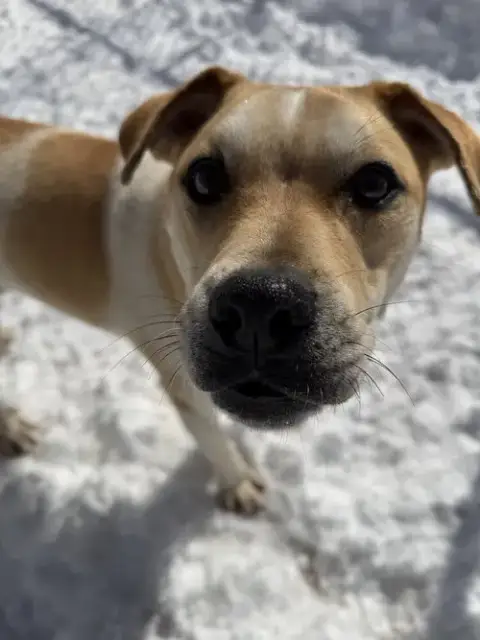 Lenny photo 3