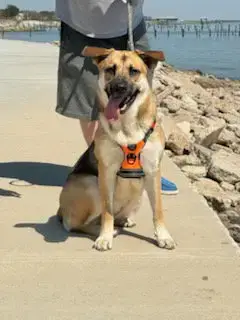 Crosby photo 3