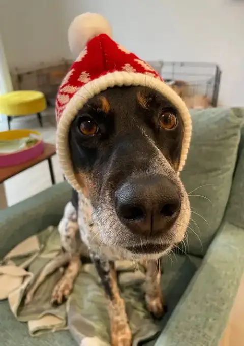 Myla