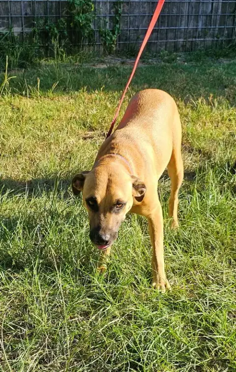 Chauncey photo 3