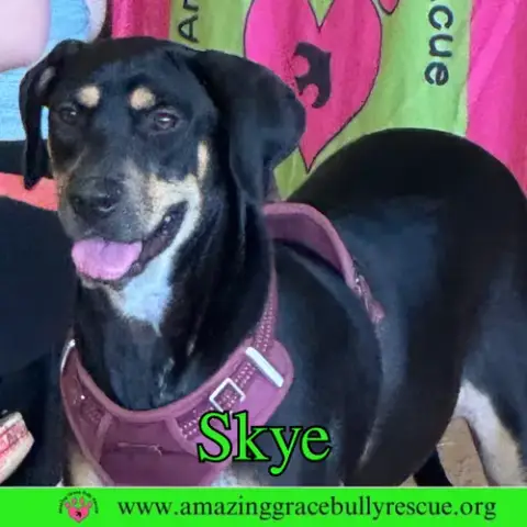Skye