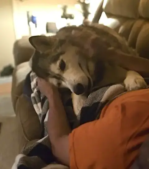 Dakota photo 5