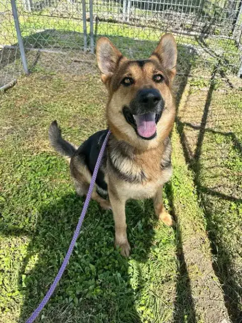 Mika